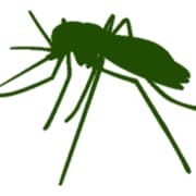 Mosquito Control Service