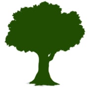 Tree & Shrub Service